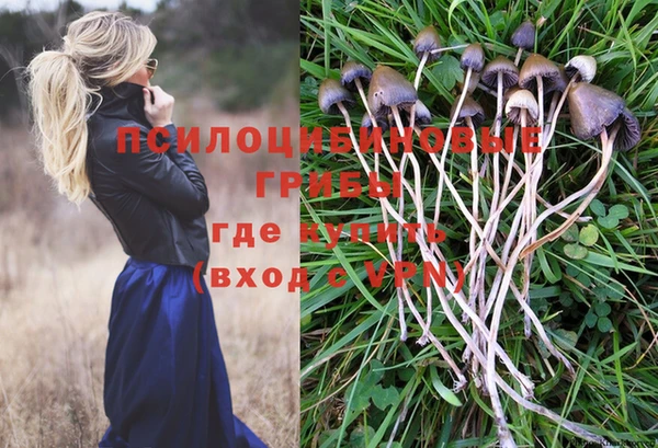 а пвп мука Гусев