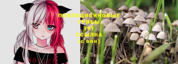 мескалин Гусиноозёрск